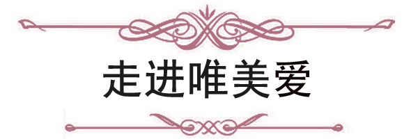 唯美愛簡介